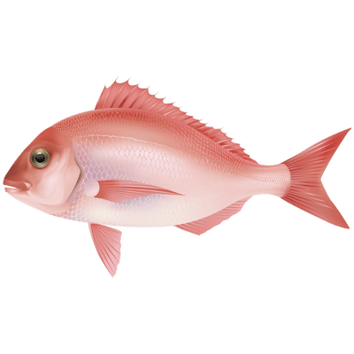 Poisson