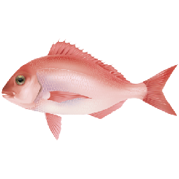 [Plats] Poisson